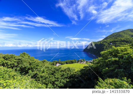 西伊豆から見た駿河湾と富士山 141533870