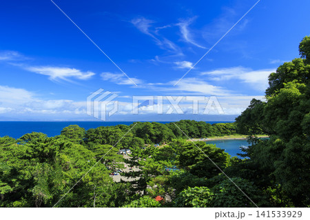 西伊豆から見た駿河湾と富士山 西伊豆から見た駿河湾と富士山 141533929