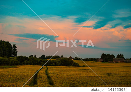 Golden Sunset Over Rural Farmland and Countryside Landscape Golden Sunset Over Rural Farmland and Countryside Landscape 141533984