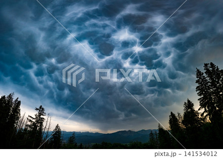 Dramatic Mammatus Clouds Above Mountain Forest Before Storm 141534012