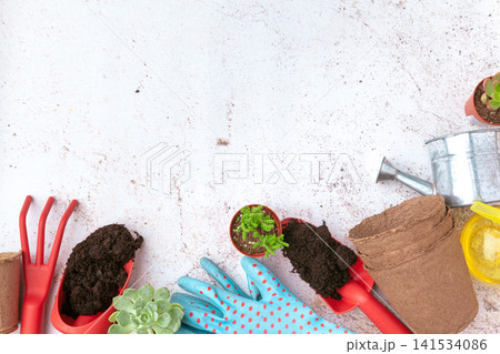 Gardening Tools and Plants Flat Lay with Copy Space 141534086