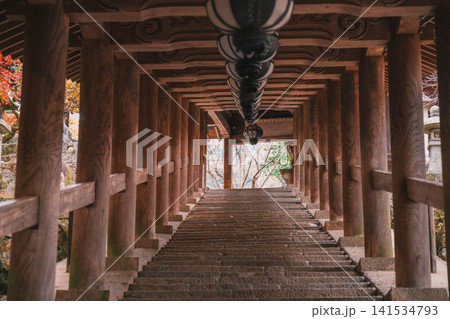 [長谷寺]奈良の山奥にあるお寺の風景 141534793