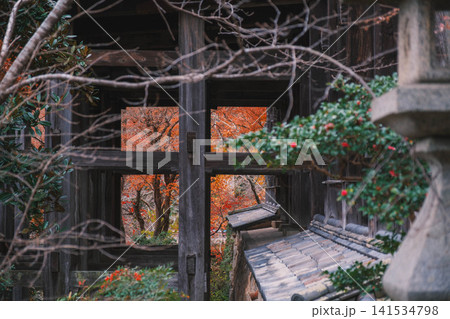 [長谷寺]奈良の山奥にあるお寺の風景 141534798