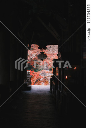 [長谷寺]真っ赤な紅葉が美しい！奈良の山奥にあるお寺の風景 141534836