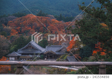 [長谷寺]真っ赤な紅葉が美しい！奈良の山奥にあるお寺の風景 141534850