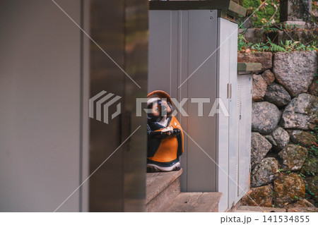 [長谷寺]奈良の山奥にあるお寺の風景 141534855