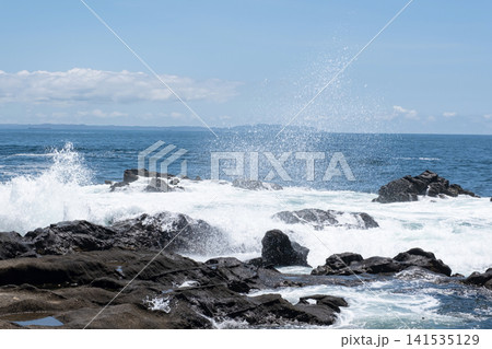 三浦半島  城ヶ島の岩に打ち寄せる荒波  波しぶき 141535129