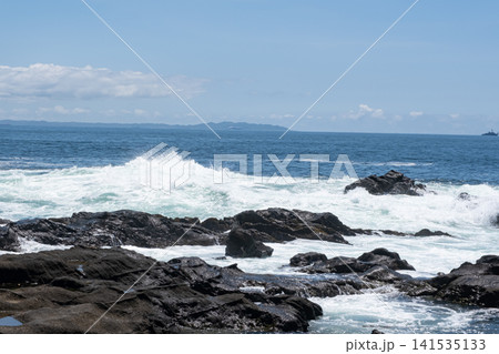 三浦半島  城ヶ島の岩に打ち寄せる荒波  波しぶき 141535133