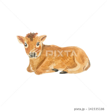 Watercolor cute brown baby jersey calf lying down. Isolated hand drawn domestic farm animal illustration element for cottagecore country design. Realistic detailed rural livestock drawing 141535186