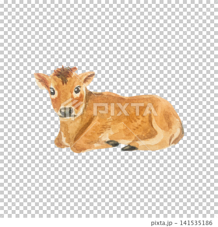 Watercolor cute brown baby jersey calf lying down. Isolated hand drawn domestic farm animal illustration element for cottagecore country design. Realistic detailed rural livestock drawing 141535186