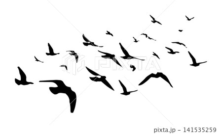 Flying birds silhouette flock. hand drawing. Not AI. Vector illustration 141535259