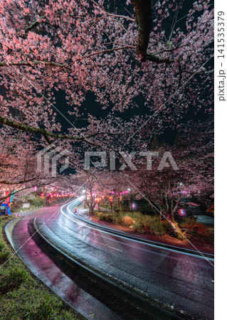 小見川城山公園の夜桜ライトアップと光跡が彩る春の夜景 小見川城山公園の夜桜ライトアップと光跡が彩る春の夜景 141535379