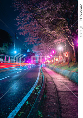 小見川城山公園の夜桜ライトアップと光跡が彩る春の夜景 小見川城山公園の夜桜ライトアップと光跡が彩る春の夜景 141535382