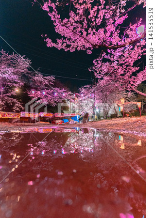 小見川城山公園の夜桜ライトアップと水面に映る屋台 小見川城山公園の夜桜ライトアップと水面に映る屋台 141535519