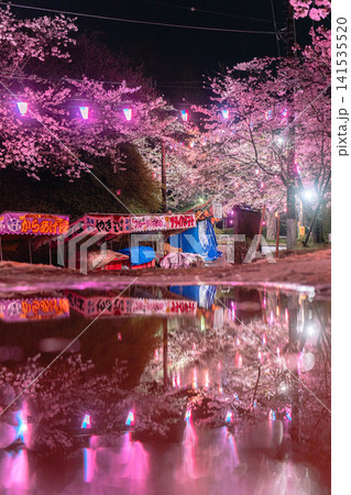 小見川城山公園の夜桜ライトアップと水面に映る屋台 小見川城山公園の夜桜ライトアップと水面に映る屋台 141535520