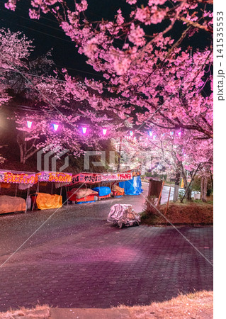 小見川城山公園の夜桜ライトアップと屋台 小見川城山公園の夜桜ライトアップと屋台 141535553