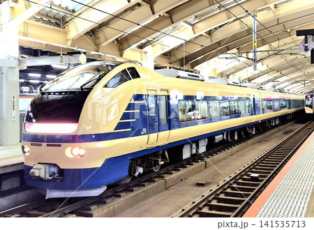 特急いなほ583系カラー 特急いなほ583系カラー 141535713