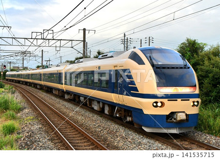 特急いなほ583系カラー 特急いなほ583系カラー 141535715