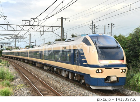 特急いなほ583系カラー 特急いなほ583系カラー 141535716