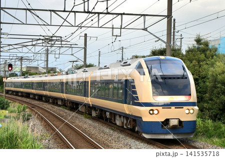 特急いなほ583系カラー 特急いなほ583系カラー 141535718
