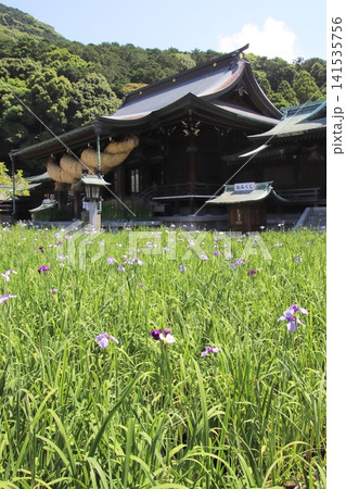 福津市の宮地嶽神社の境内風景 福津市の宮地嶽神社の境内風景 141535756