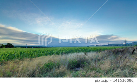 Beautiful sunrise in field and blue sky with clouds timelapse Beautiful sunrise in field and blue sky with clouds timelapse 141536096