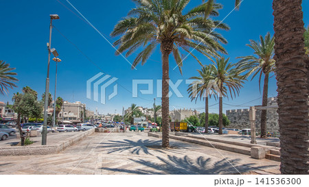 Palm trees on Alley Mish'ol HaPninim Garden leading to the Damascus Gate timelapse hyperlapse in Jerusalem Old City, Israel. Palm trees on Alley Mish'ol HaPninim Garden leading to the Damascus Gate timelapse hyperlapse in Jerusalem Old City, Israel. 141536300