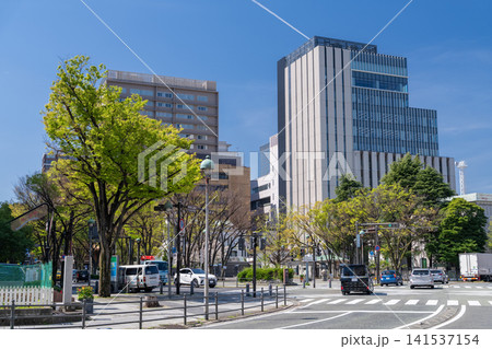 神奈川県庁東庁舎と横浜ベイエリアの都市風景 141537154