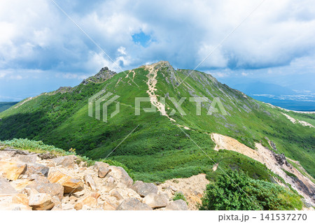 夏の八ヶ岳・東天狗岳へと続く美しい登山道 夏の八ヶ岳・東天狗岳へと続く美しい登山道 141537270