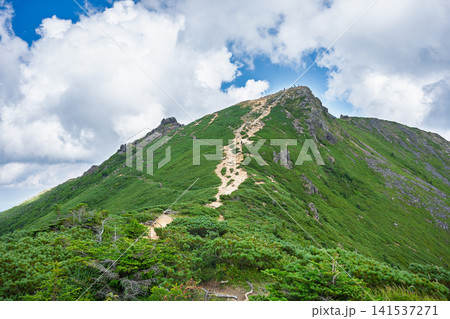 夏の八ヶ岳・東天狗岳へと続く美しい登山道 141537271