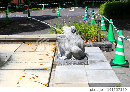 上野公園のかえるの噴水 上野公園のかえるの噴水 141537329