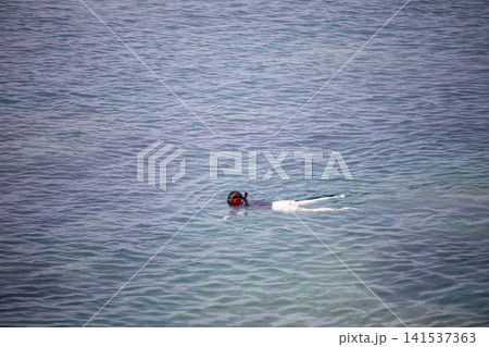 真鶴町 夏の琴ヶ浜海岸 シュノーケリングを楽しむ人 真鶴町 夏の琴ヶ浜海岸 シュノーケリングを楽しむ人 141537363
