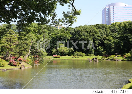 六義園 141537379