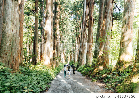 【長野市戸隠】戸隠神社奥社 杉並木の参道の風景と観光客 【長野市戸隠】戸隠神社奥社 杉並木の参道の風景と観光客 141537550