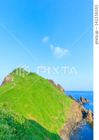 初夏の大野亀 佐渡島 新潟県佐渡市 初夏の大野亀 佐渡島 新潟県佐渡市 141538281