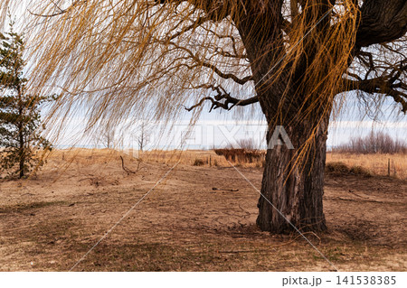 Shore of Lake Michigan. 141538385