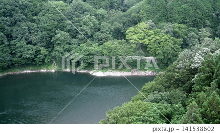 荒川峡の青々と生い茂る森林と荒川 荒川峡の青々と生い茂る森林と荒川 141538602