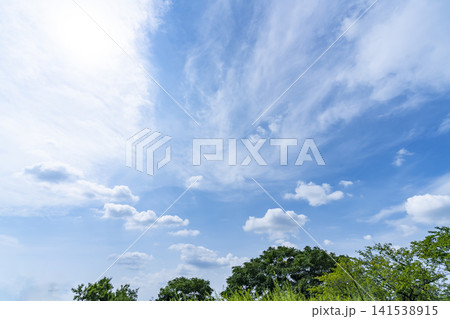 夏の青空と雲と樹木 夏の青空と雲と樹木 141538915