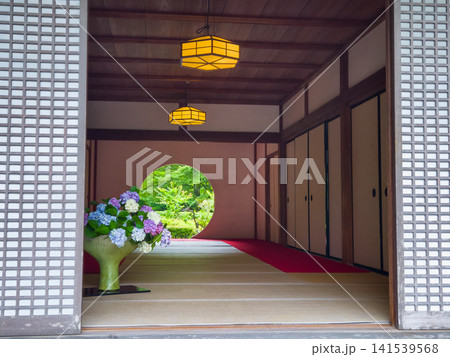 Traditional Japanese temple interior with hydrangea at Meigetsu-in in Kamakura Traditional Japanese temple interior with hydrangea at Meigetsu-in in Kamakura 141539568