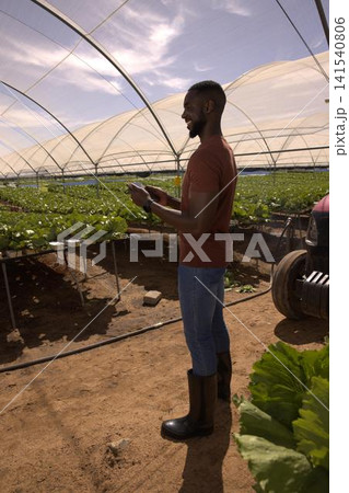 African american man in boots checking smartphone in greenhouse, copy space African american man in boots checking smartphone in greenhouse, copy space 141540806
