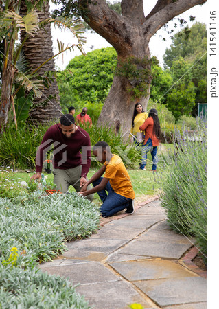 African american family kneeling and tending groundcover beside path in garden, copy space African american family kneeling and tending groundcover beside path in garden, copy space 141541146