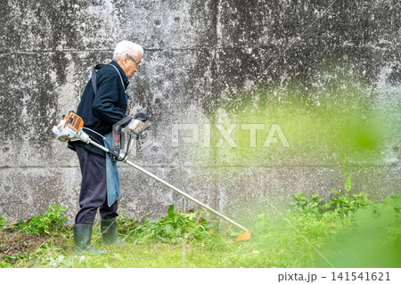 初夏に草刈り機で草刈りをする高齢男性 初夏に草刈り機で草刈りをする高齢男性 141541621