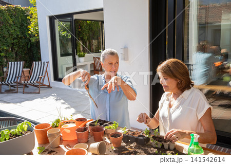 Senior friends gardening on patio using trowels, terra cotta pots, potting soil, seedling trays 141542614