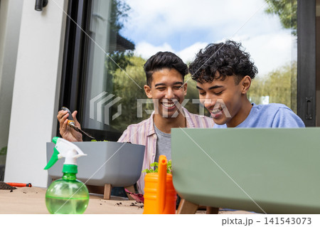 Two male friends planting seedlings in rectangular planter boxes on patio 141543073