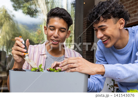 Two male friends planting seedlings using trowel, potting soil in planter box on balcony patio 141543076