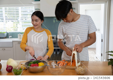 Asian couple chopping vegetables on countertop island in modern kitchen using chef's knife Asian couple chopping vegetables on countertop island in modern kitchen using chef's knife 141543606