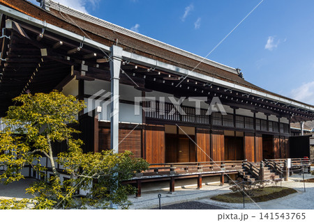 京都御所 京都御所 141543765