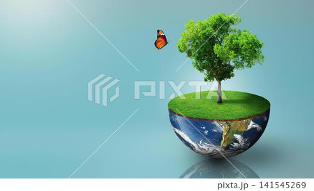 Floating island with green tree and butterfly in the sky 141545269