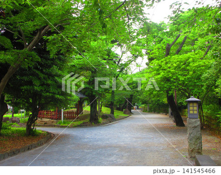 飛鳥山公園(東京都北区王子)の風景(2026年撮影) 飛鳥山公園(東京都北区王子)の風景(2026年撮影) 141545466