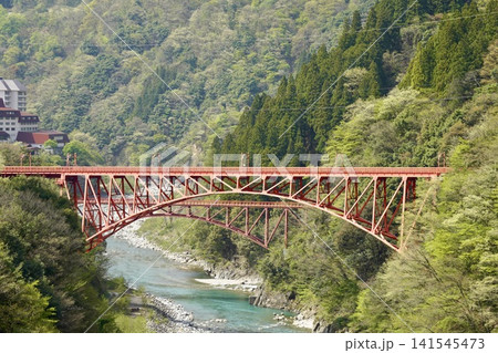 渓谷を渡る赤い鉄橋 141545473